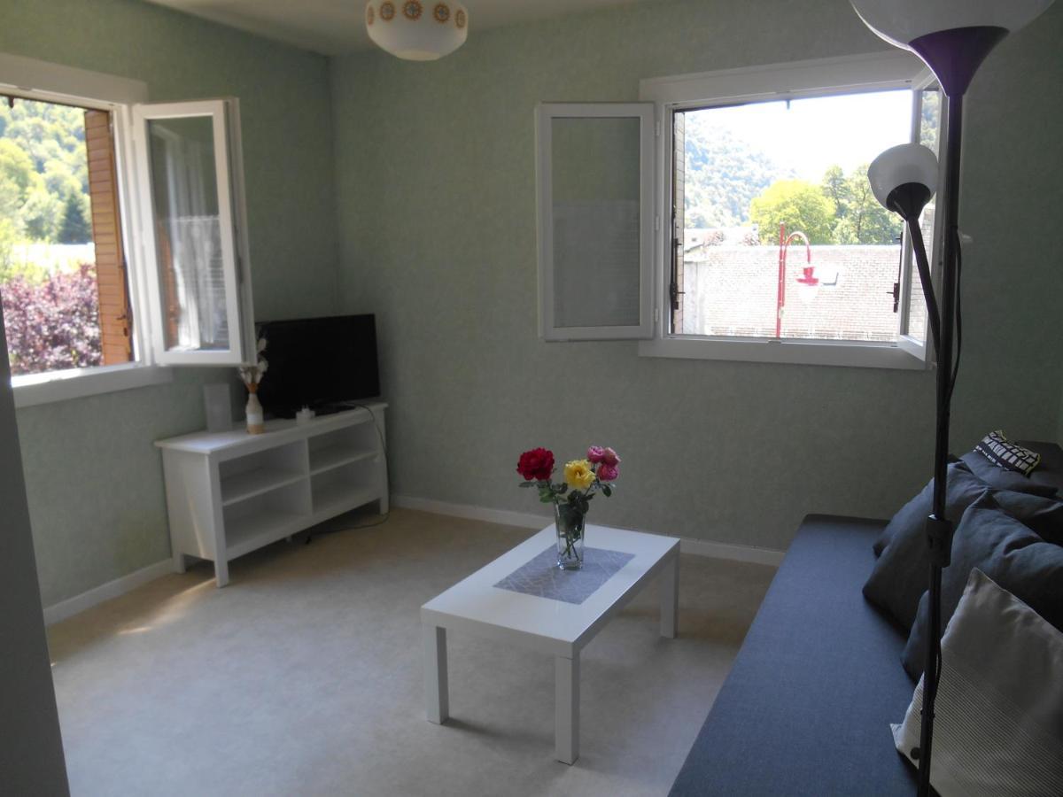 Appartement Vallee De Luchon Salles-et-Pratviel Bagian luar foto